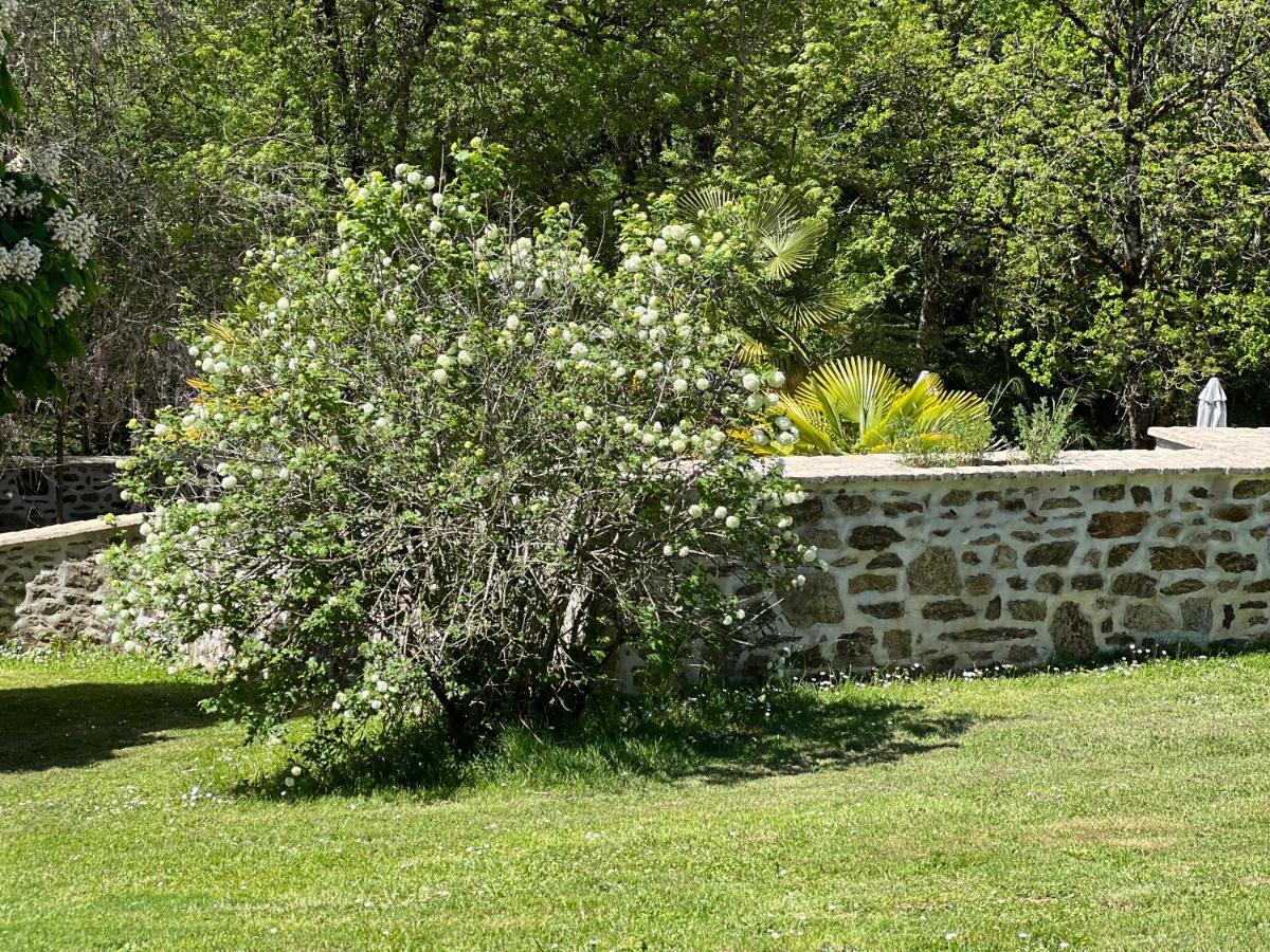 Domaine De Brise Bois - Chambres & Gites Rouzède Buitenkant foto